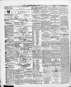 Swansea and Glamorgan Herald Saturday 03 April 1869 Page 2