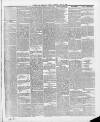 Swansea and Glamorgan Herald Saturday 03 April 1869 Page 3