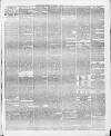 Swansea and Glamorgan Herald Saturday 08 May 1869 Page 3