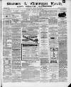 Swansea and Glamorgan Herald Saturday 29 May 1869 Page 1