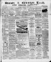 Swansea and Glamorgan Herald Wednesday 02 June 1869 Page 1