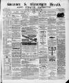 Swansea and Glamorgan Herald Saturday 12 June 1869 Page 1
