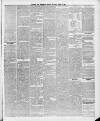Swansea and Glamorgan Herald Saturday 12 June 1869 Page 3