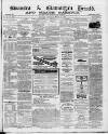 Swansea and Glamorgan Herald Saturday 26 June 1869 Page 1