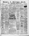 Swansea and Glamorgan Herald Wednesday 30 June 1869 Page 1