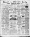 Swansea and Glamorgan Herald Saturday 10 July 1869 Page 1