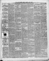 Swansea and Glamorgan Herald Saturday 17 July 1869 Page 3