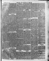 Swansea and Glamorgan Herald Wednesday 16 December 1874 Page 7