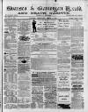 Swansea and Glamorgan Herald Wednesday 03 March 1875 Page 1