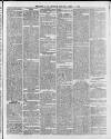 Swansea and Glamorgan Herald Wednesday 07 April 1875 Page 5