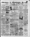 Swansea and Glamorgan Herald Wednesday 30 June 1875 Page 1