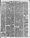 Swansea and Glamorgan Herald Wednesday 30 June 1875 Page 3
