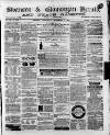 Swansea and Glamorgan Herald Wednesday 01 November 1876 Page 1
