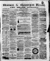 Swansea and Glamorgan Herald Wednesday 08 November 1876 Page 1