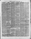 Swansea and Glamorgan Herald Wednesday 03 April 1878 Page 5