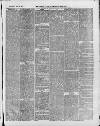 Swansea and Glamorgan Herald Wednesday 24 April 1878 Page 7