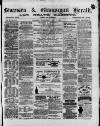 Swansea and Glamorgan Herald Wednesday 08 May 1878 Page 1