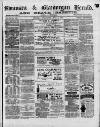 Swansea and Glamorgan Herald Wednesday 03 July 1878 Page 1