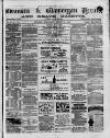 Swansea and Glamorgan Herald Wednesday 14 August 1878 Page 1