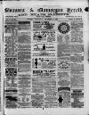 Swansea and Glamorgan Herald Wednesday 11 December 1878 Page 1