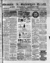 Swansea and Glamorgan Herald Wednesday 01 January 1879 Page 1