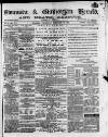 Swansea and Glamorgan Herald Wednesday 11 February 1880 Page 1