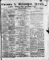 Swansea and Glamorgan Herald Wednesday 18 February 1880 Page 1