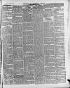 Swansea and Glamorgan Herald Wednesday 24 March 1880 Page 3
