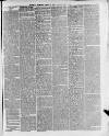 Swansea and Glamorgan Herald Wednesday 02 June 1880 Page 5