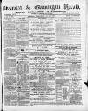 Swansea and Glamorgan Herald Wednesday 16 June 1880 Page 1