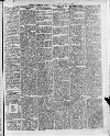 Swansea and Glamorgan Herald Wednesday 18 August 1880 Page 5