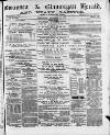 Swansea and Glamorgan Herald Wednesday 10 November 1880 Page 1