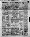 Swansea and Glamorgan Herald Wednesday 05 January 1881 Page 1