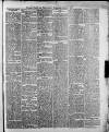 Swansea and Glamorgan Herald Wednesday 05 January 1881 Page 5