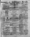 Swansea and Glamorgan Herald Wednesday 26 January 1881 Page 1