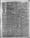 Swansea and Glamorgan Herald Wednesday 26 January 1881 Page 5