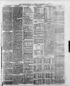 Swansea and Glamorgan Herald Wednesday 16 February 1881 Page 3