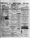 Swansea and Glamorgan Herald Wednesday 07 February 1883 Page 1