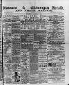 Swansea and Glamorgan Herald Wednesday 14 November 1883 Page 1