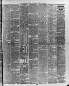 Swansea and Glamorgan Herald Wednesday 14 November 1883 Page 3