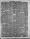 Swansea and Glamorgan Herald Wednesday 26 March 1884 Page 5