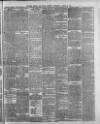 Swansea and Glamorgan Herald Wednesday 27 August 1884 Page 5