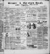 Swansea and Glamorgan Herald Wednesday 04 November 1885 Page 1