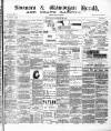 Swansea and Glamorgan Herald Wednesday 13 January 1886 Page 1