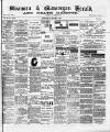 Swansea and Glamorgan Herald Wednesday 03 March 1886 Page 1