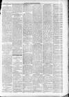 North Cumberland Reformer Thursday 05 March 1891 Page 3