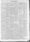 North Cumberland Reformer Thursday 09 April 1891 Page 5