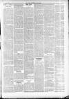 North Cumberland Reformer Thursday 30 April 1891 Page 3