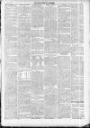 North Cumberland Reformer Thursday 30 April 1891 Page 5