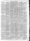 North Cumberland Reformer Thursday 09 July 1891 Page 3